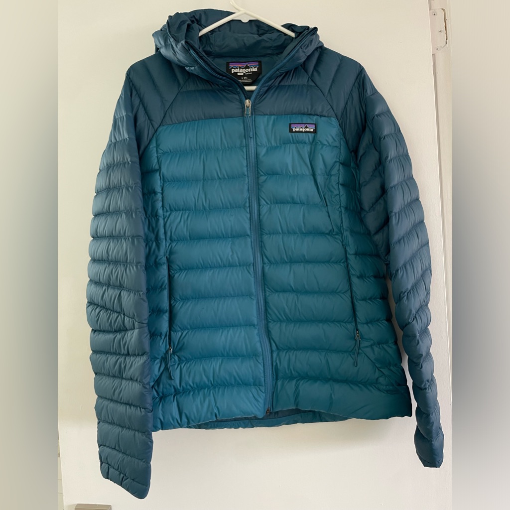 Patagonia Down Sweater Hoody
